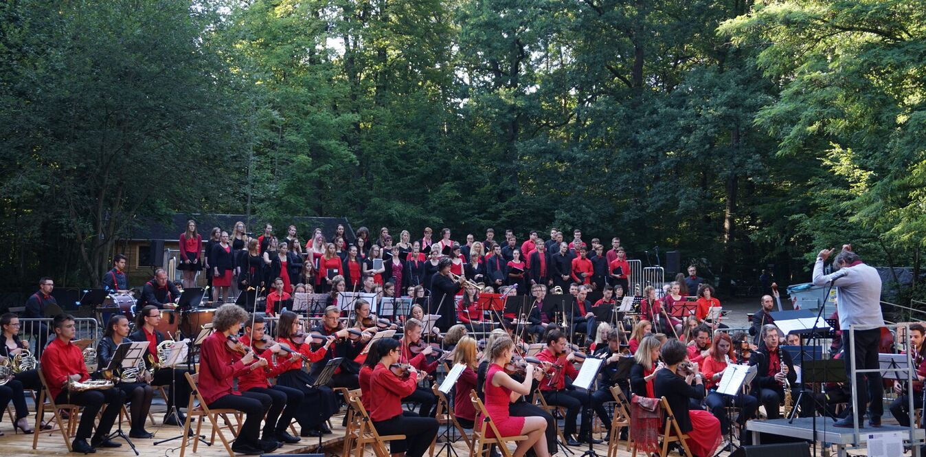 Foto zu Europäische Sommerphilharmonie